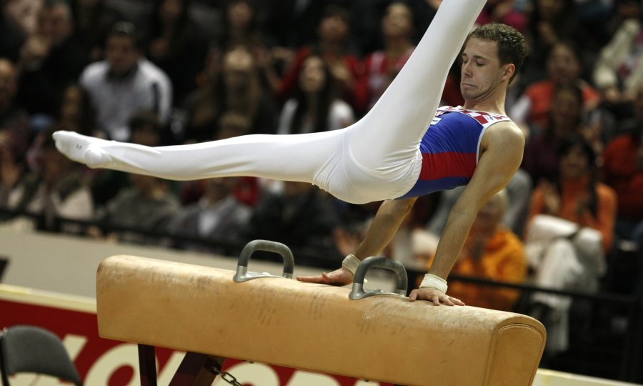 Robert Seligman, 2009