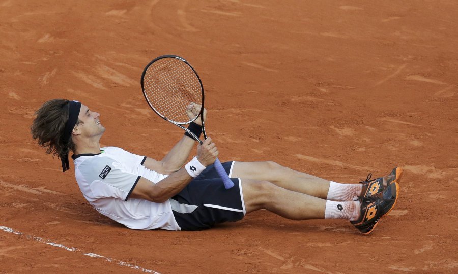 David Ferrer