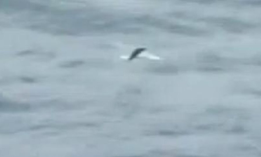 Srušen svjetski rekord u letenju za ribe!
