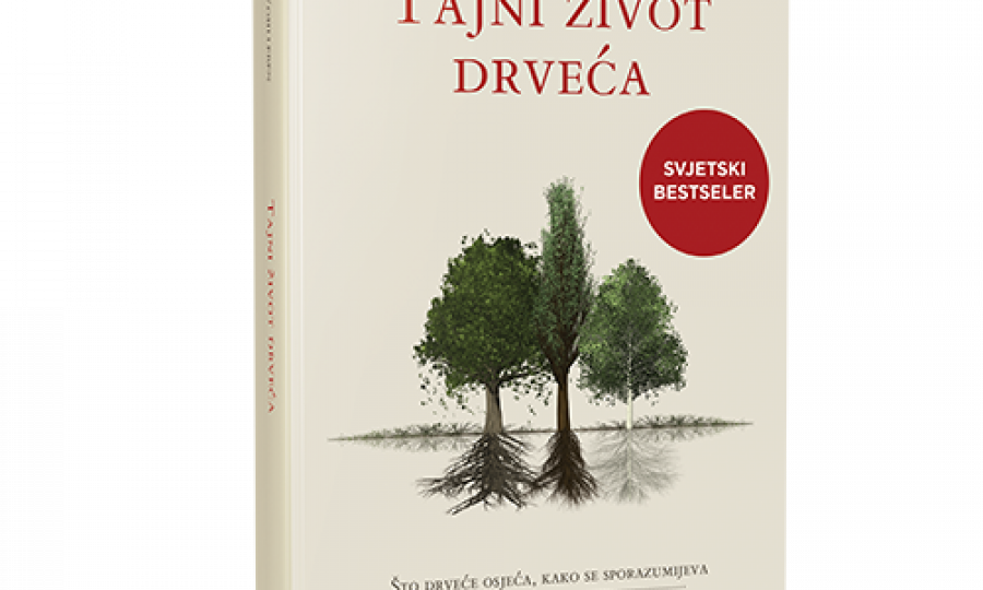 Tajni život drveća