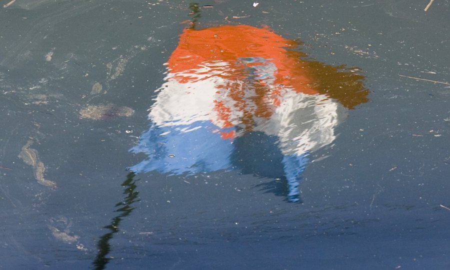 hrvatska zastava