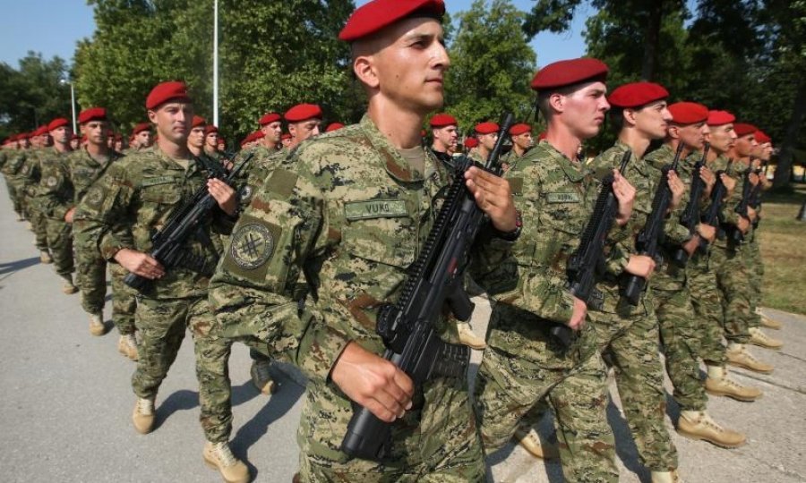 Zajednička vježba pješačkih postrojenja OS RH (10)
