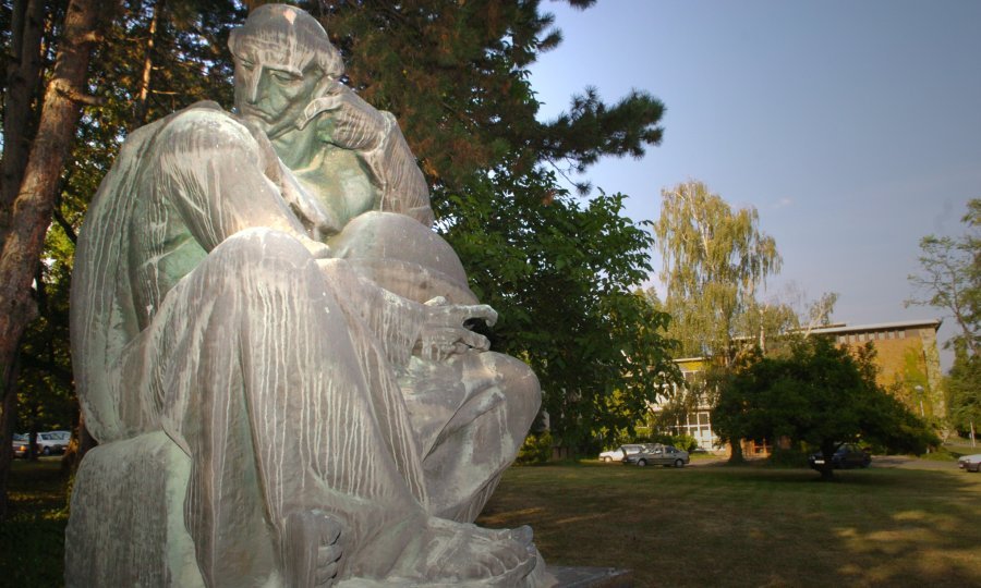 institut ruđer Bošković