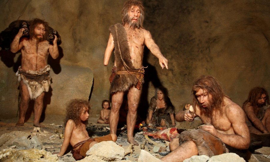Ilustrativna galerija / Muzej krapinskog neandertalca
