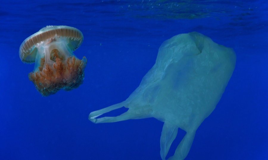 Prijatelji životinja pozvali trgovce: Plastična vrećica ne smije biti besplatna