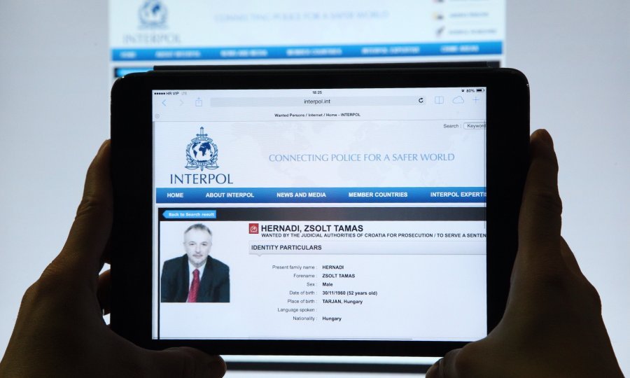 Zsolt Hernadi na tjeralici Interpola