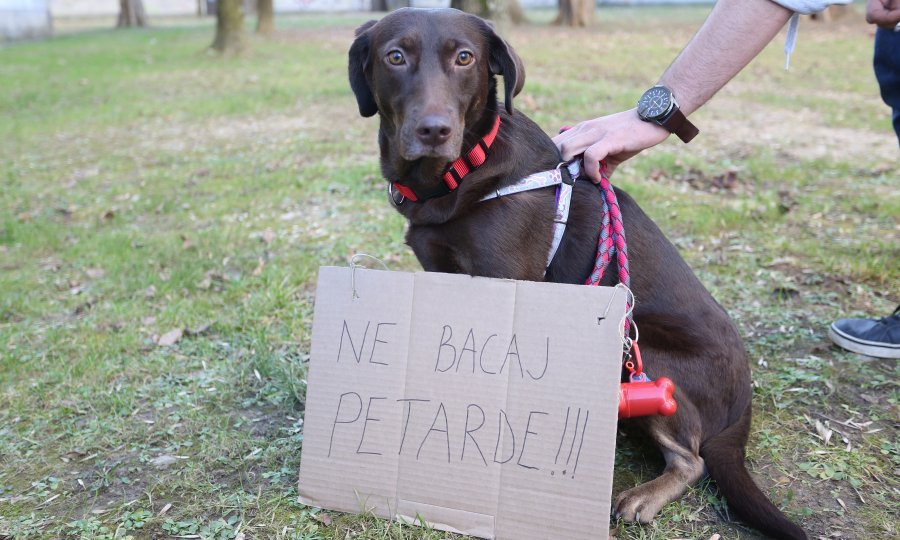 Ilustrativna fotografija