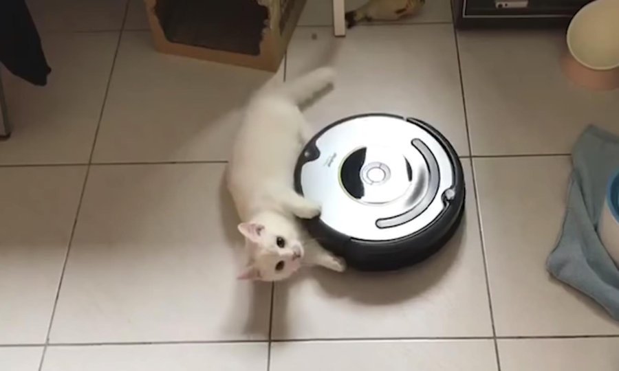 tportal