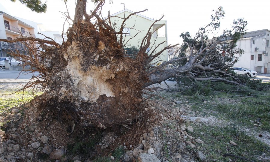 Olujna bura koja na makarskom području puše s udarima od 190 km/h zaustavila je trajektni promet na linijama Makarska-Sumartin i Drvenik-Sućuraj i uzrokuje veliku materijalnu štetu.