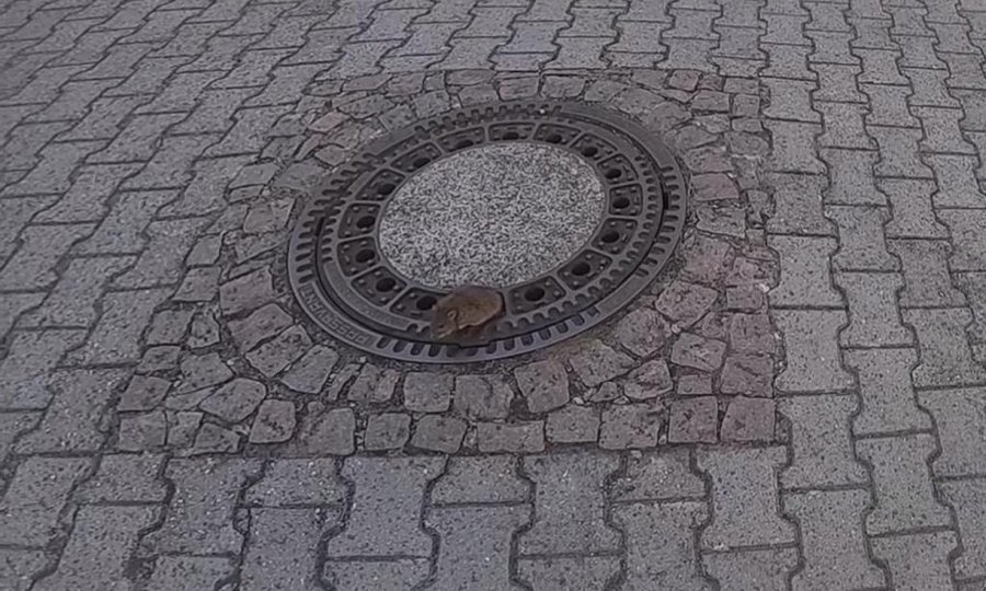 tportal
