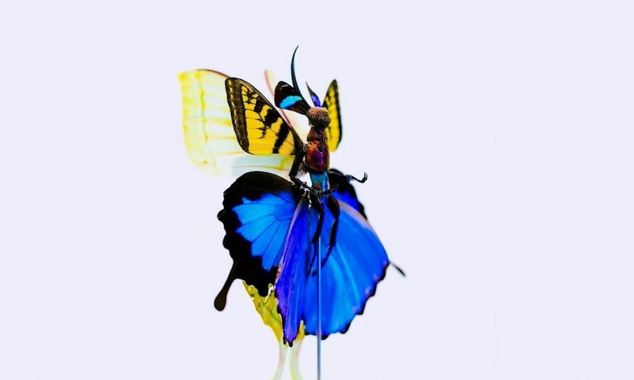tportal
