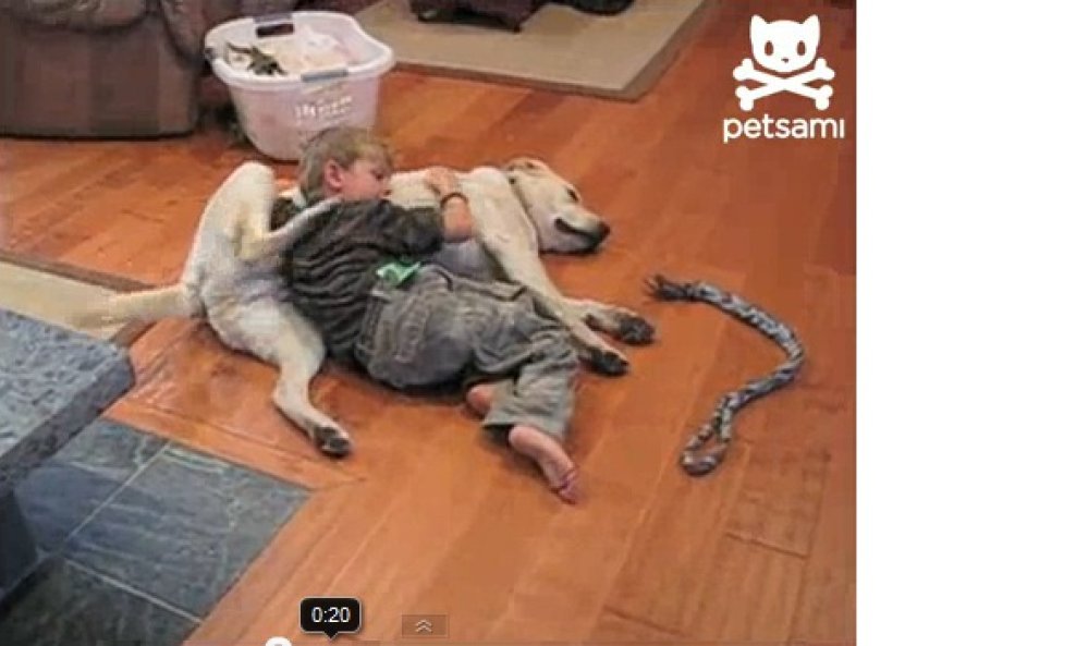 Pogledajte kako se pas i dječak međusobno češkaju