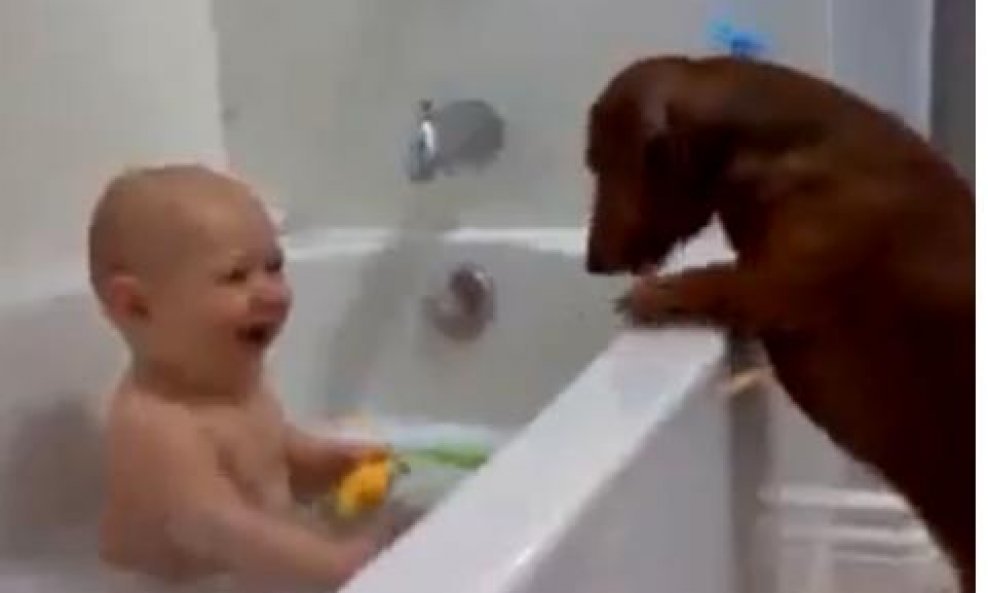 Beba se kupa u društvu s jazavčarem