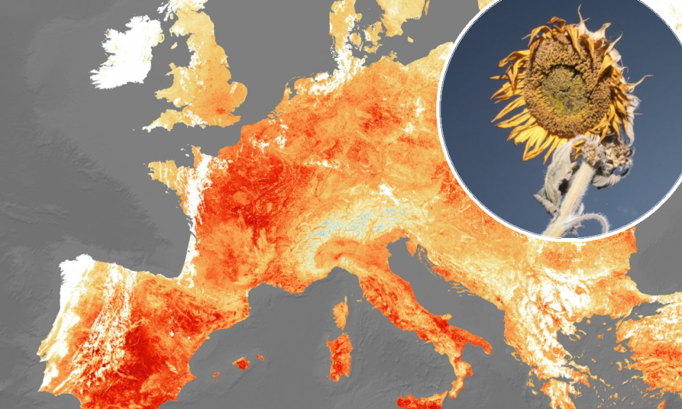 Ubitačni ekstremi ovog ljeta dio su globalnog trenda i s vremenom će se samo pogoršavati