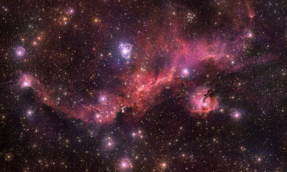 Nebula snimljena Vrlo velikim telekopom: možete li u ovoj maglici prepoznati obrise galeba?