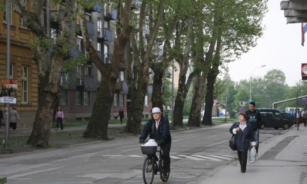 Platane u Nazorovoj u Karlovcu