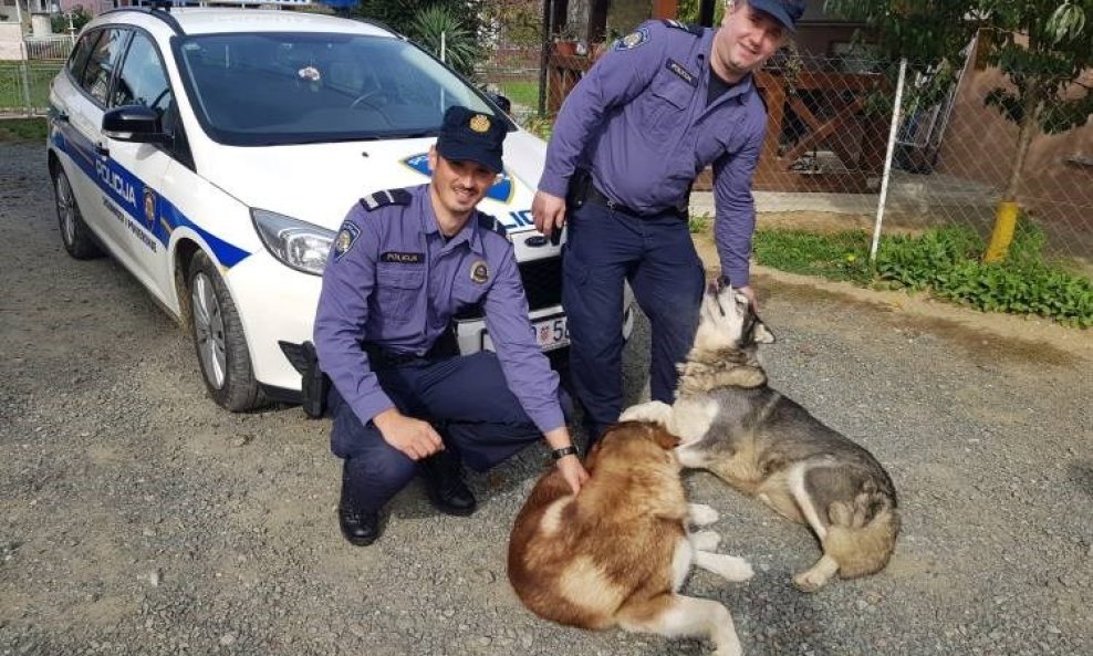 Policajci s pronađenim aljaškim malamutima