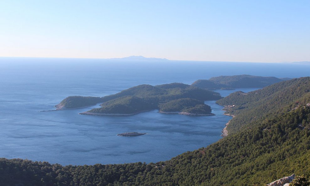 Mljet