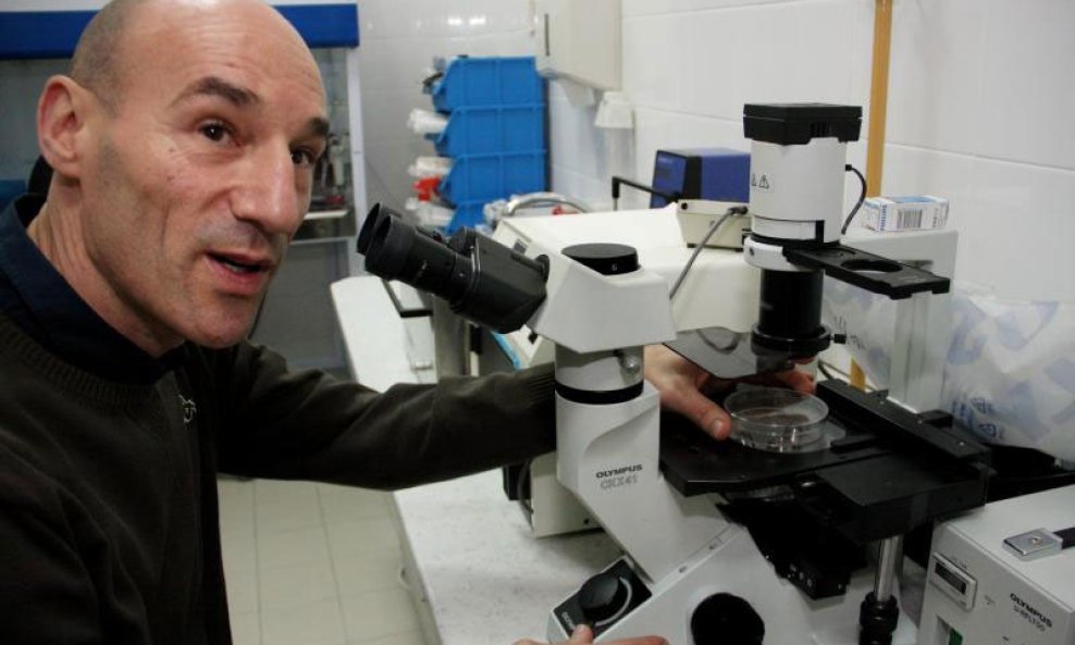 Janoš Terzić