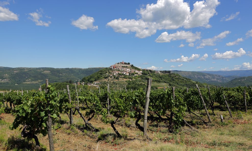 Motovun