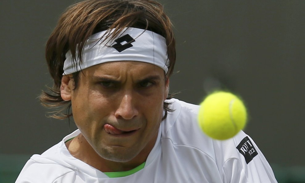 David Ferrer