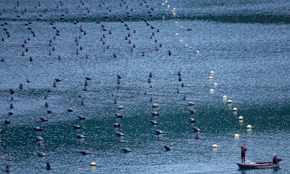 Izlov školjki iz Jadranskog mora (ilustrativna fotografija)