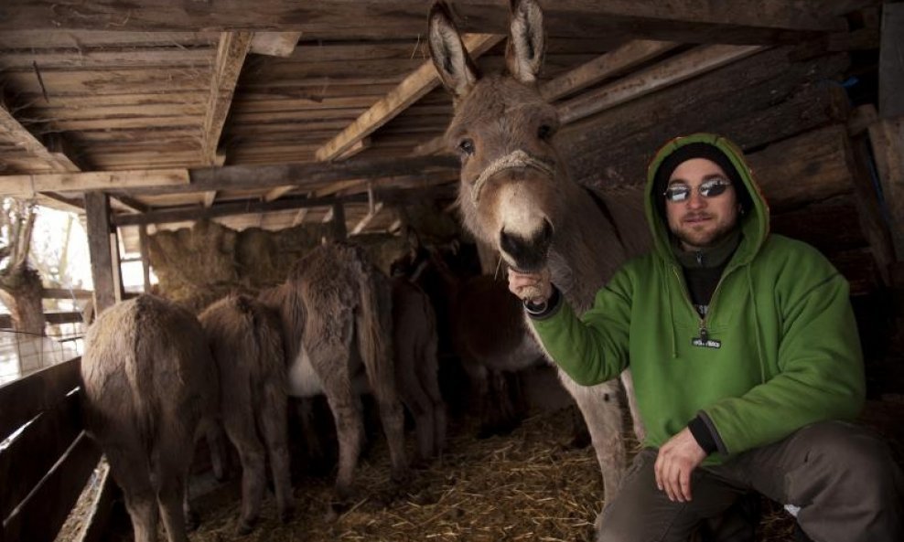 Neven Ciganović sa svojim magarcima