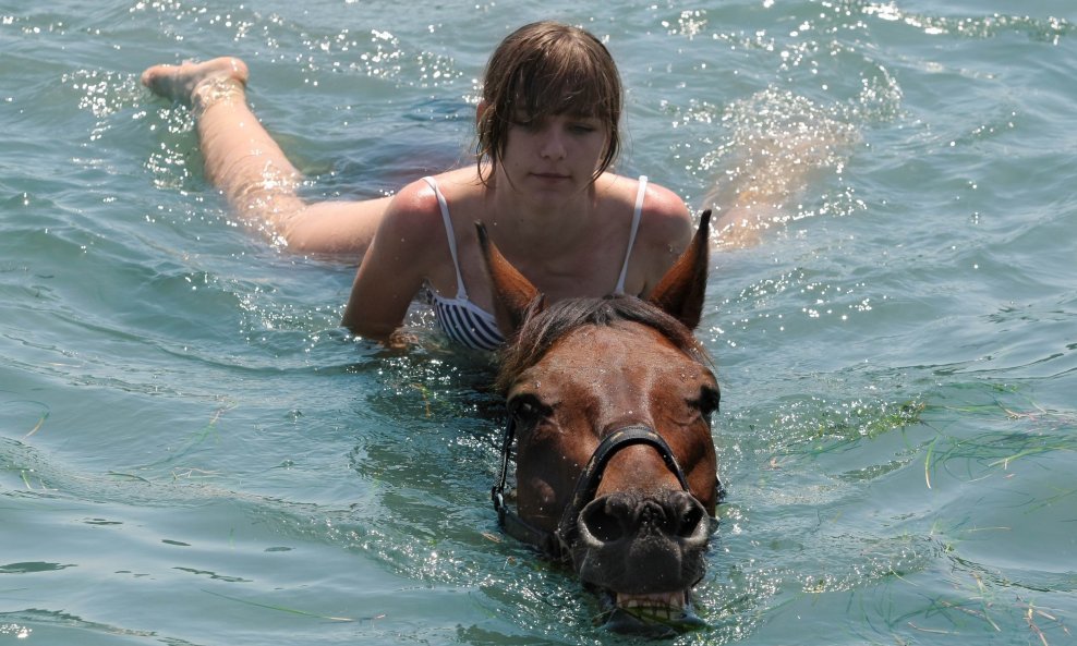 Konji u moru
