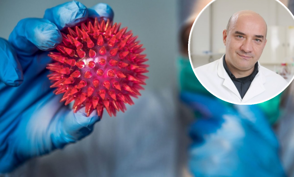 'Virusi su grupirani u osam skupina', kaže molekularni biolog Gordan Lauc