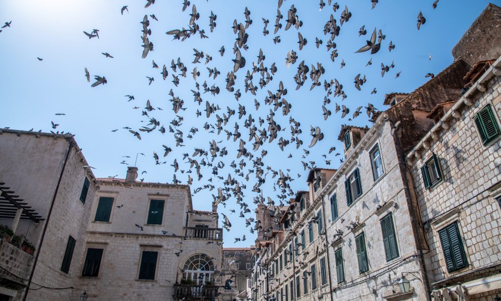 Dubrovnik