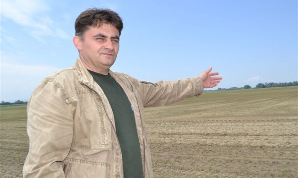 Srecko Bosak pokazuje na oko 400 hektara tek posijanog zemljista