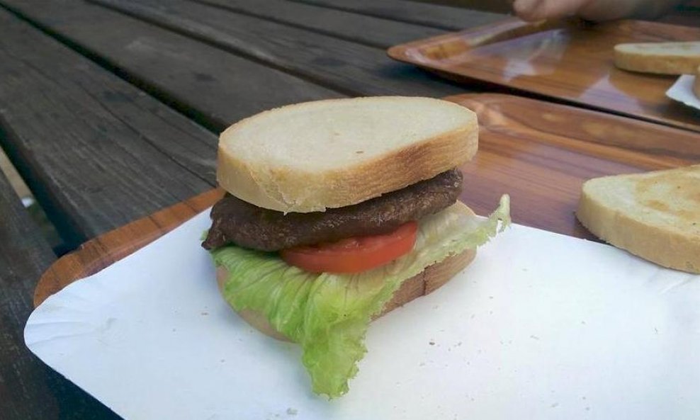 hamburger Plitvice