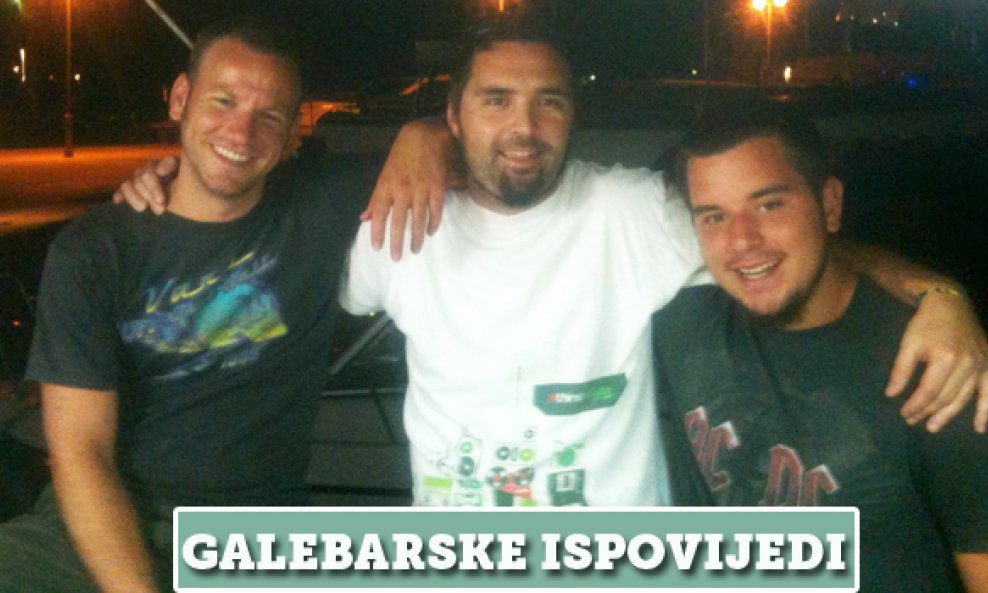 Damir galeb