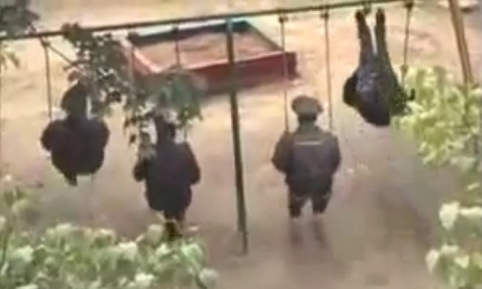 policajci na ljuljacki