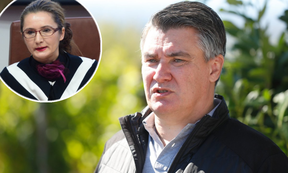 Višnja Ljubičić, Zoran Milanović