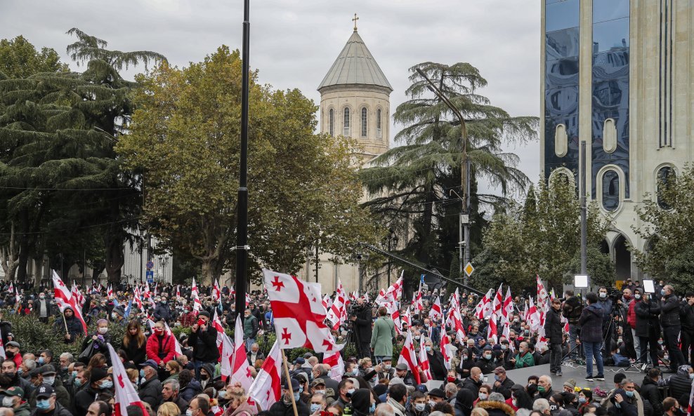 Prosvjed u Tbilisiju, Gruzija