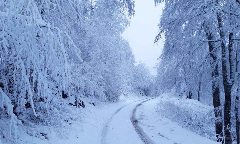 Nacionalni park Sjeverni Velebit
