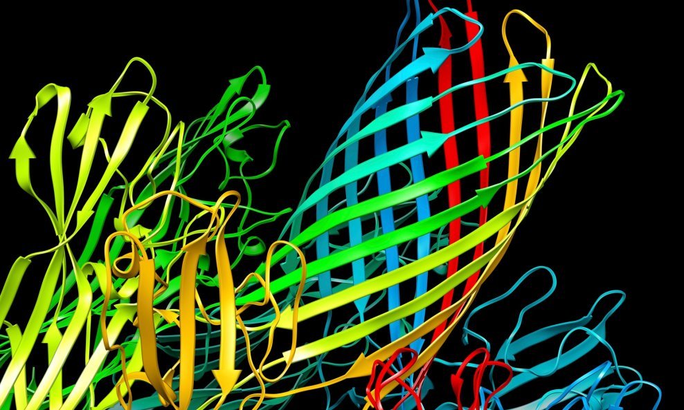 Razumijevanje oblika proteina moglo bi dovesti do velikog znanstvenog napretka