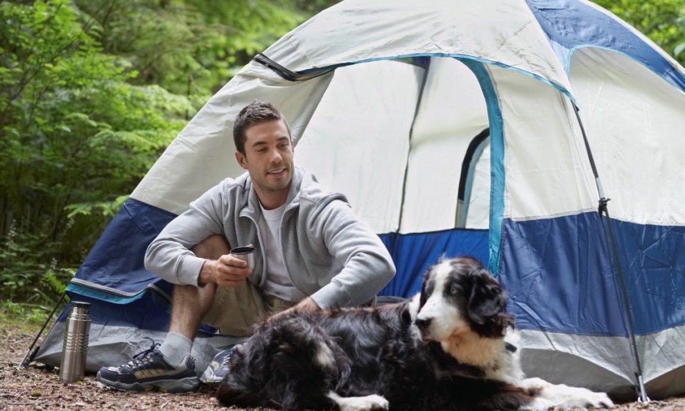 pas kampiranje ljetovanje psi šator