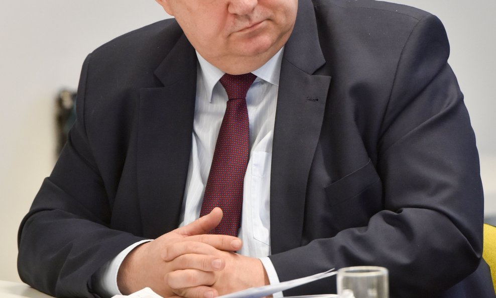 Damir Zorić