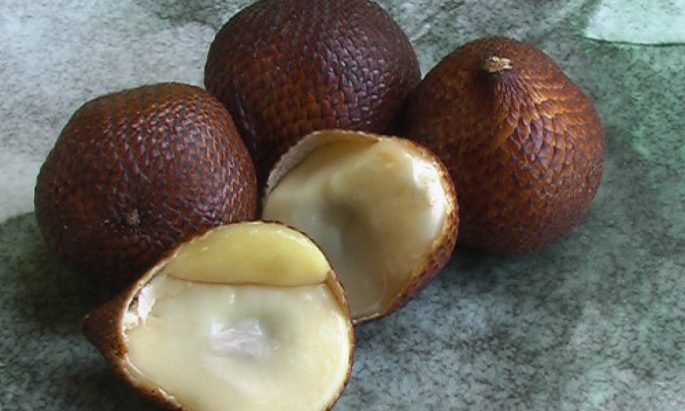 salak palma