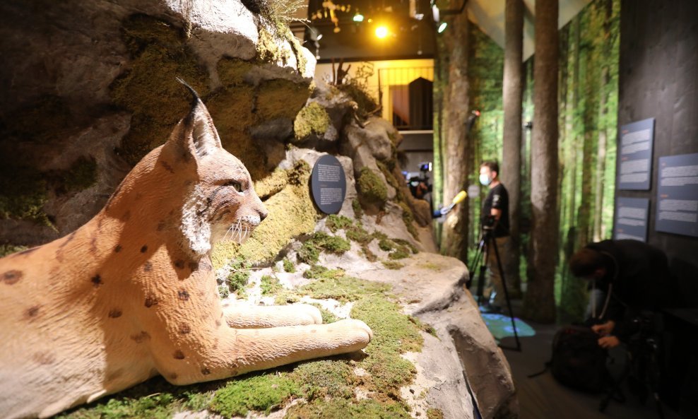 Centar za velike zvijeri u Staroj Sušici posvećen vuku, medvjedu i risu