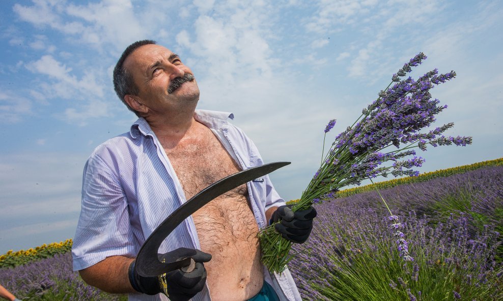 Pogled u nebo berača na polju lavande kod Vukovara kao da je nagovijestio nepovoljan razvoj situacije