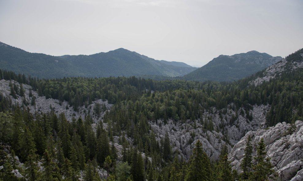 Velebit