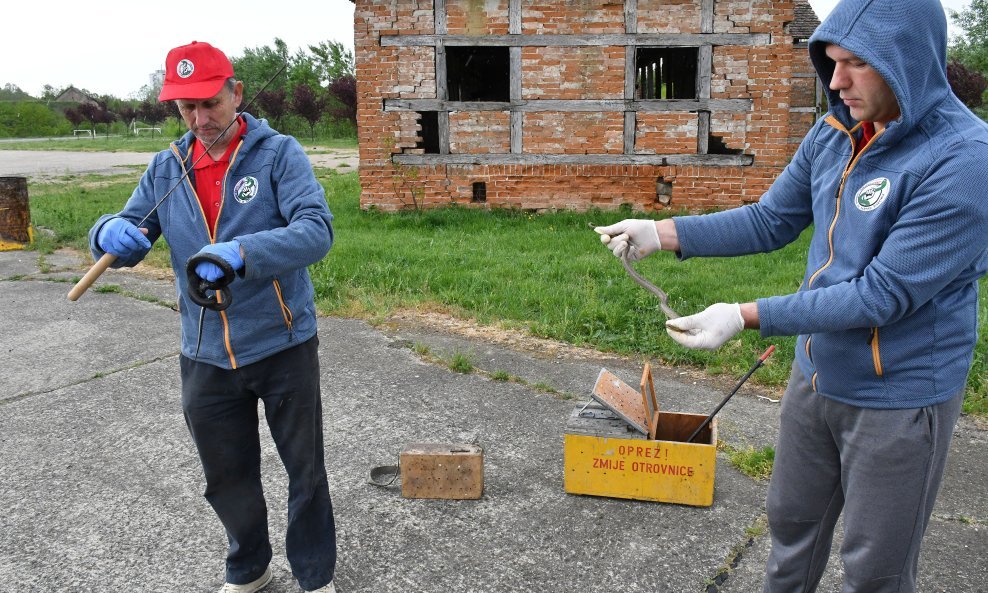 Zmijolovci Darko Karamazan i Vlado Lađarević