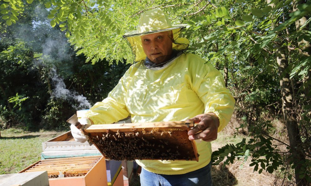 Stanko Čuljak u svojem pčelinjaku nedaleko od Cerića