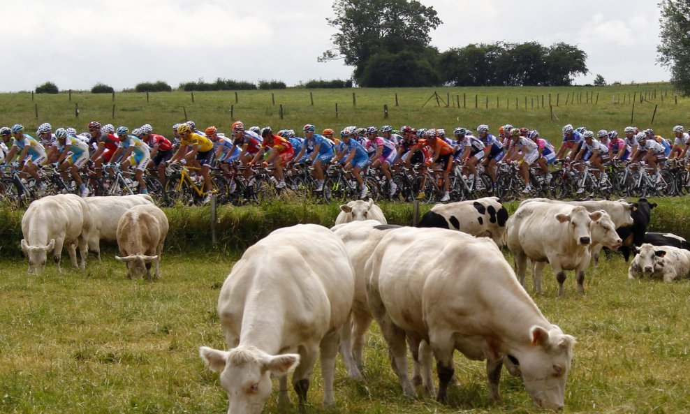 Tour de France 2010 - 2