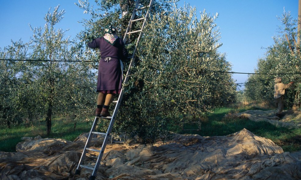 Ilustrativna fotografija