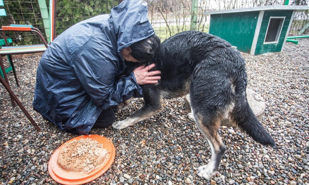 Azil za napuštene pse Udruge Pobjede u Nemetinu kraj Osijeka