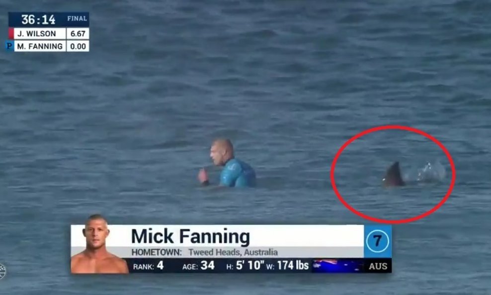 Mick Fanning i morski pas